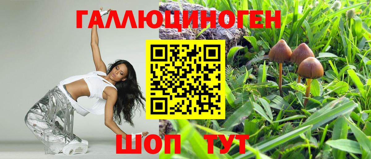 Галлюциногенные грибы Magic Shrooms  Галлюциногенные грибы прущие грибы  Вход с VPN  Видное 